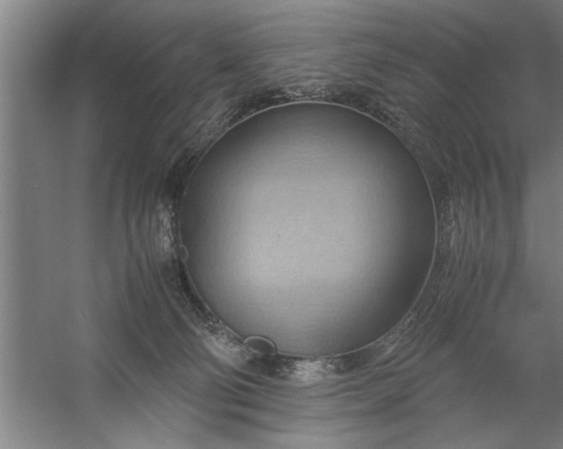 X0000057580130200509302148