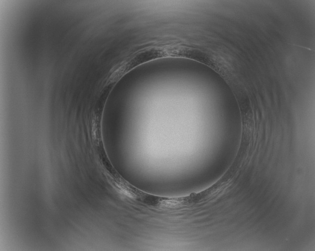 X0000057580139200509302148