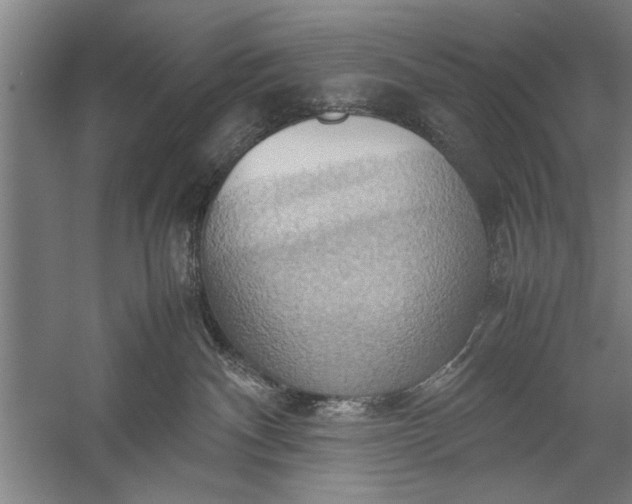 X0000057580140200509302148