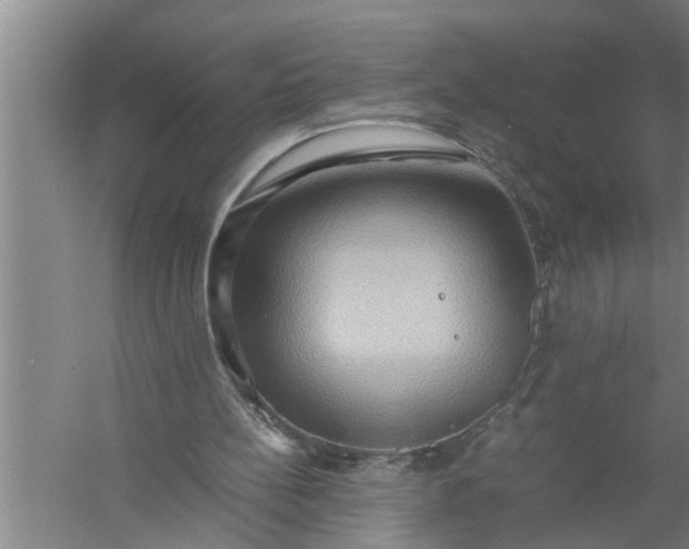 X0000057580148200509302147