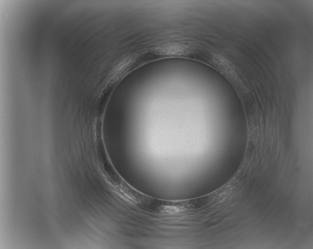 X0000057580167200509302147