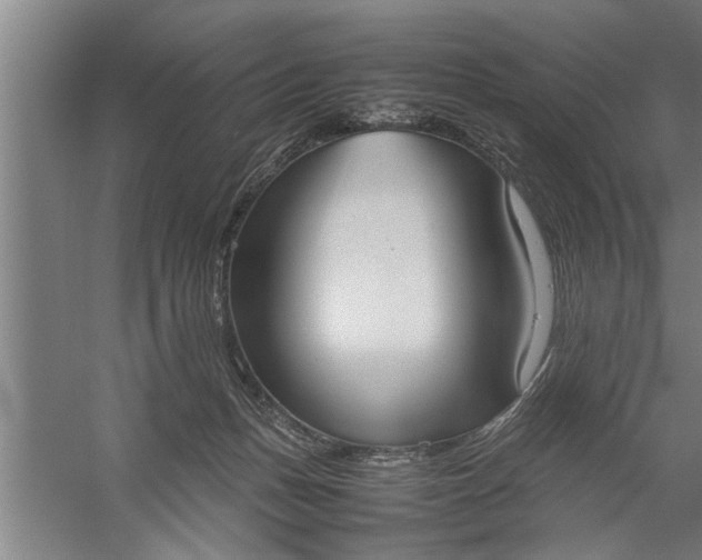 X0000057580175200509302147