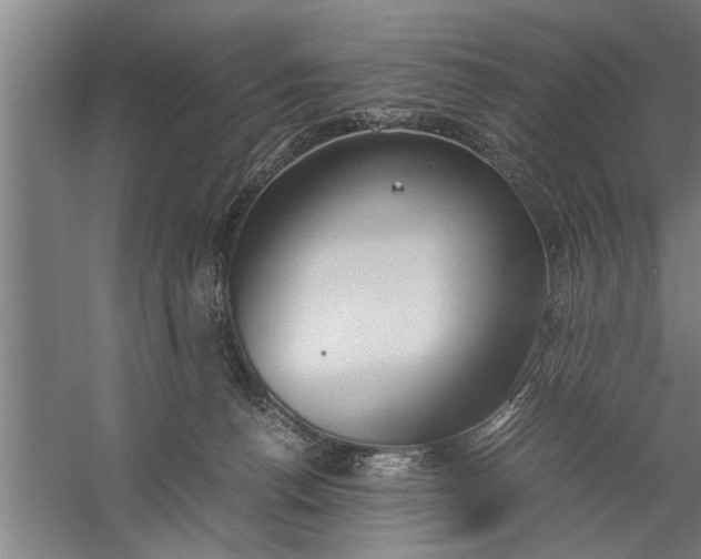 X0000057580176200509302147