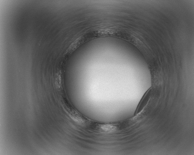 X0000057580183200509302147