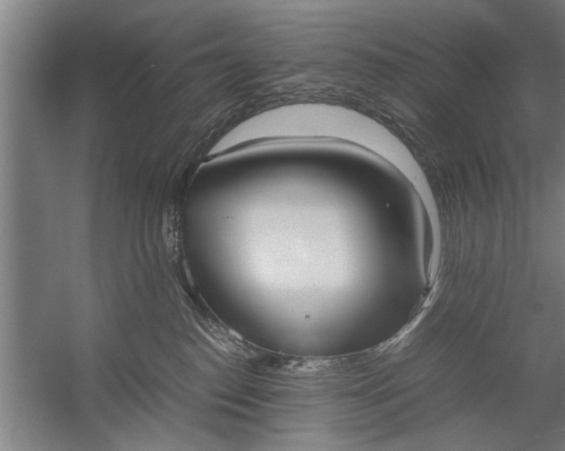 X0000057580186200509302147