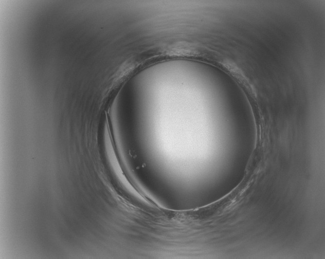 X0000057580201200509302146