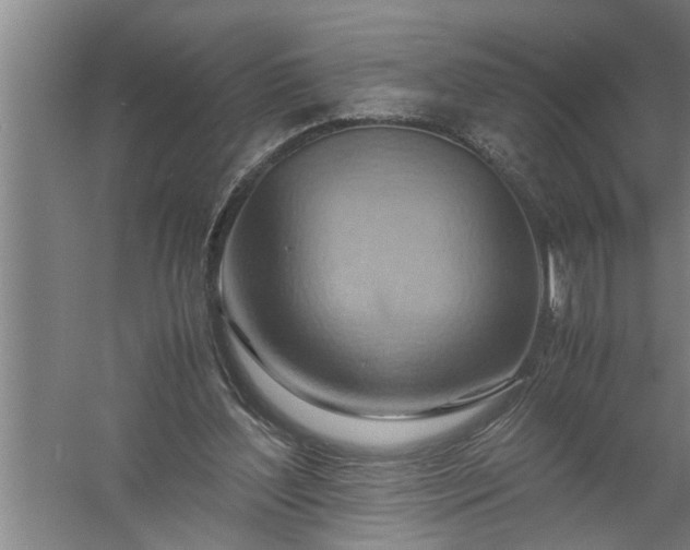 X0000057580204200509302146
