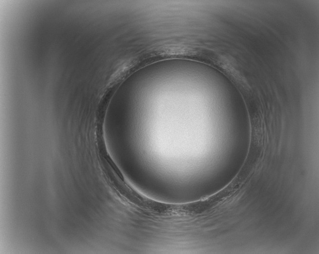 X0000057580207200509302146