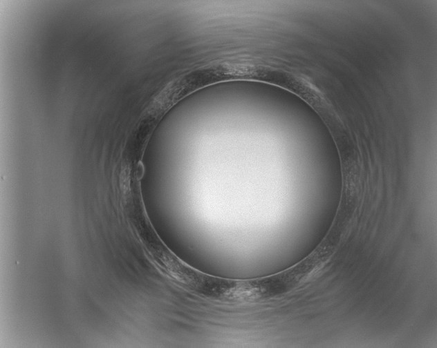 X0000057580213200509302146