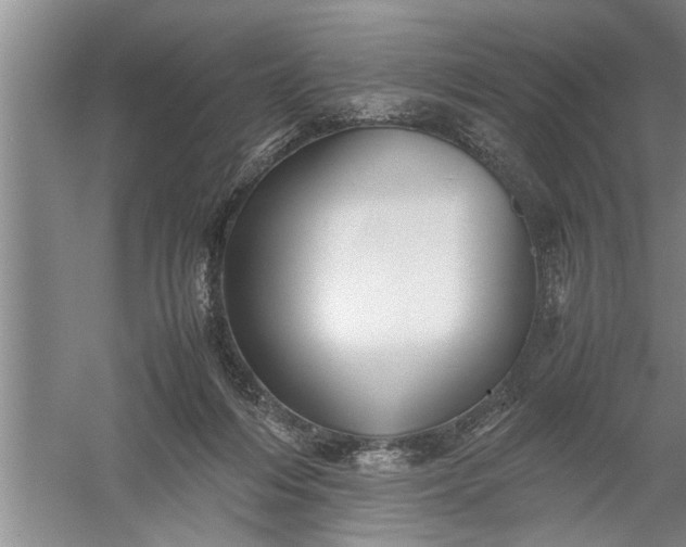 X0000057580216200509302146