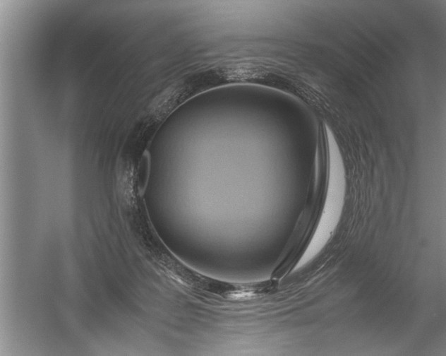 X0000057580219200509302146
