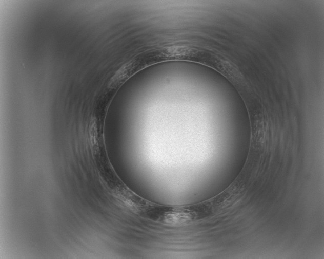 X0000057580220200509302146