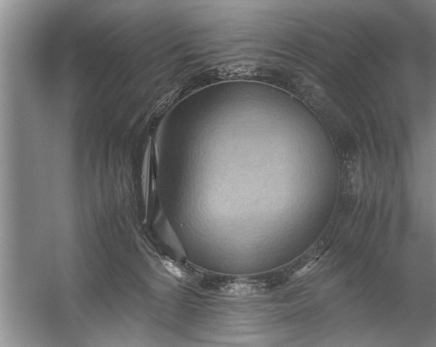 X0000057580224200509302146