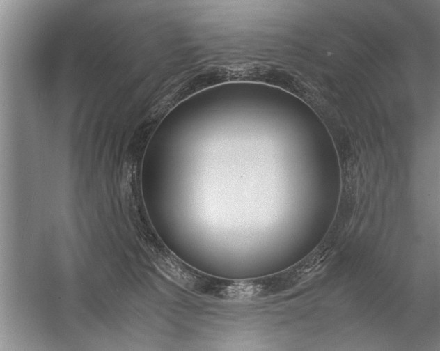 X0000057580225200509302146