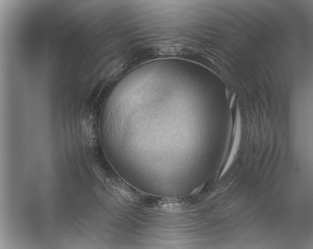 X0000057580228200509302146