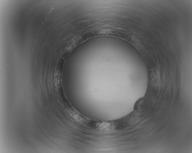X0000057580230200509302146
