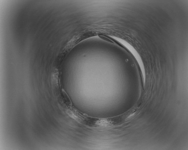 X0000057580231200509302146