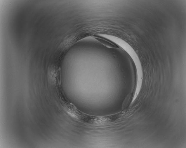 X0000057580235200509302146