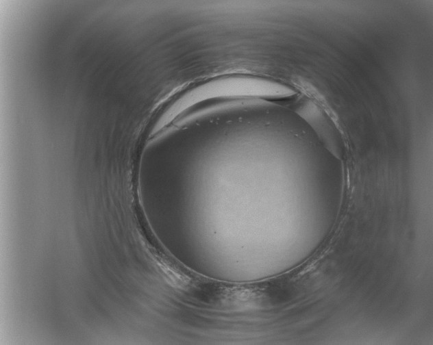 X0000057580249200509302145