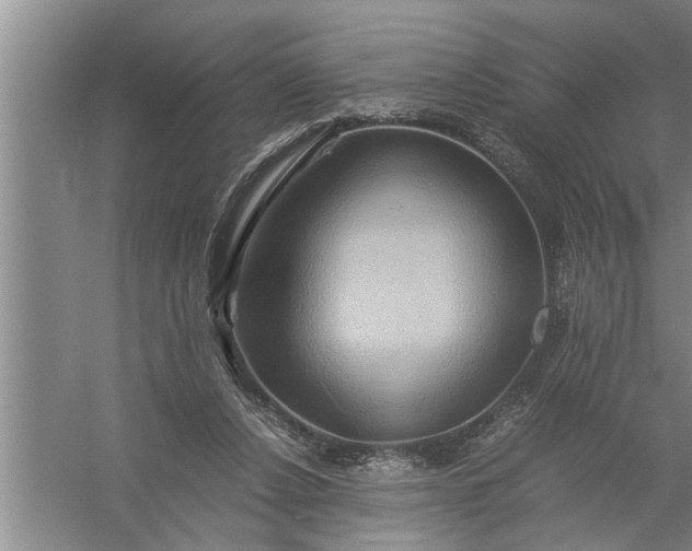 X0000057580256200509302145