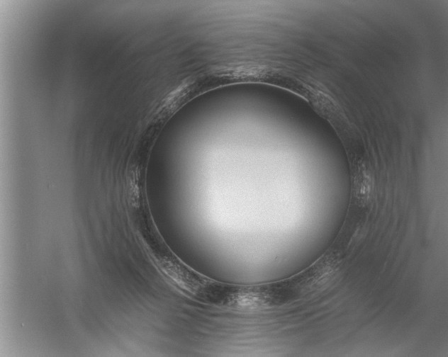 X0000057580264200509302145