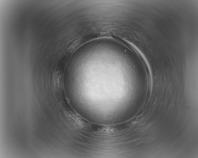 X0000057580276200509302146