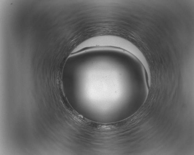 X0000057580277200509302146