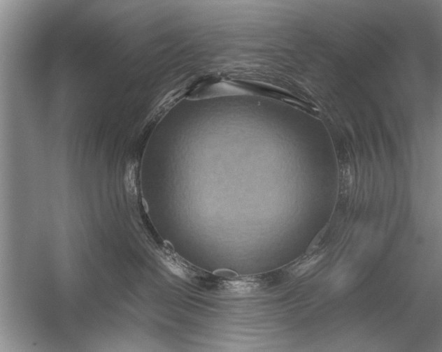 X0000057580286200509302146