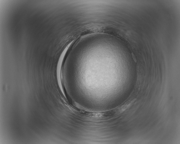 X0000057580288200509302146