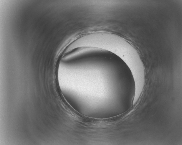X0000057580293200509302145