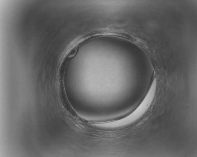 X0000057580295200509302145