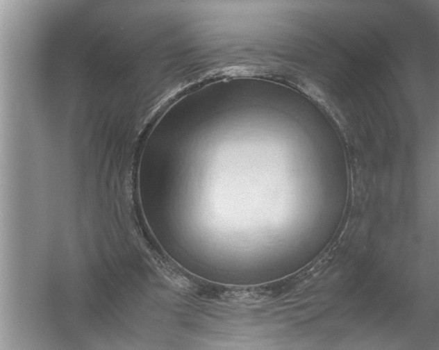 X0000057580297200509302145