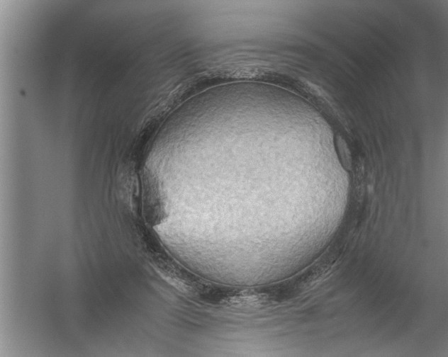 X0000057580307200509302145