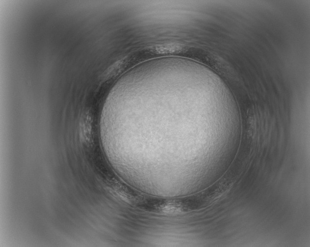 X0000057580308200509302145
