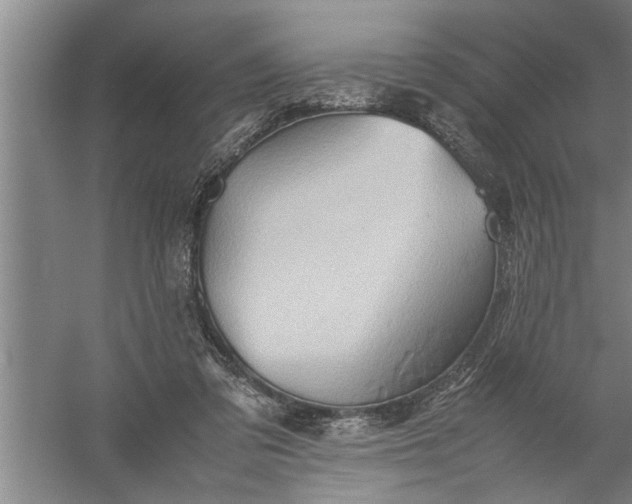 X0000057580309200509302145