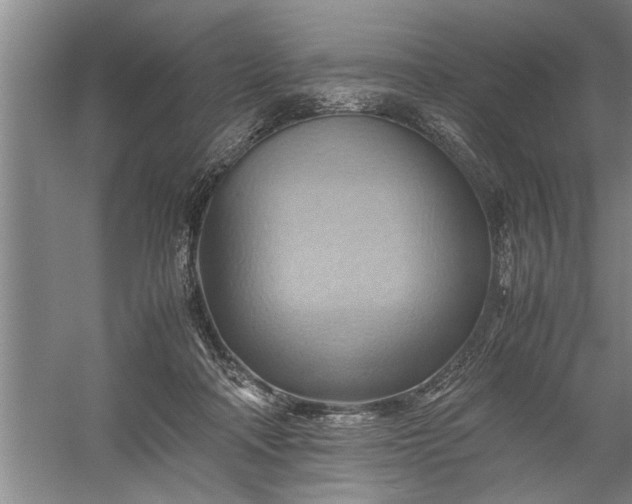 X0000057580314200509302145