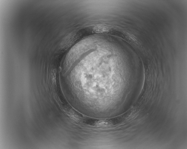 X0000057580315200509302145