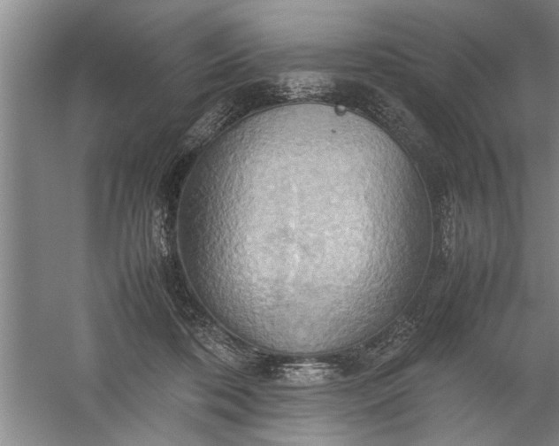 X0000057580316200509302145
