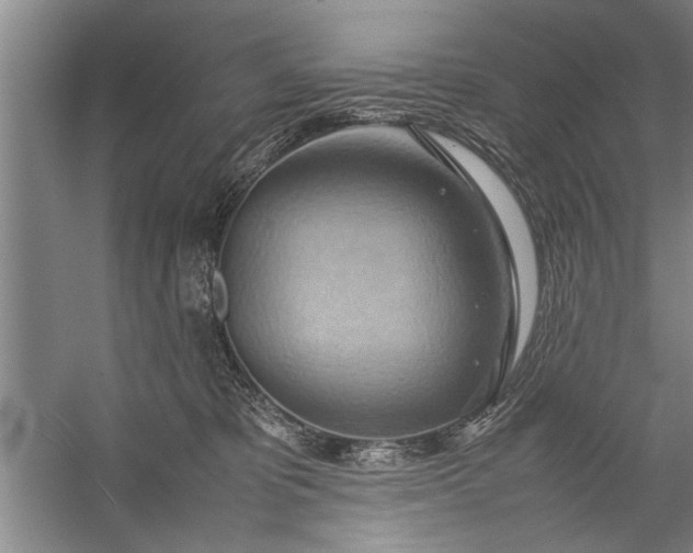 X0000057580325200509302144