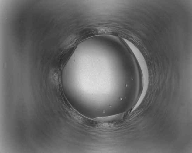 X0000057580329200509302144