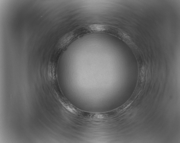 X0000057580330200509302144