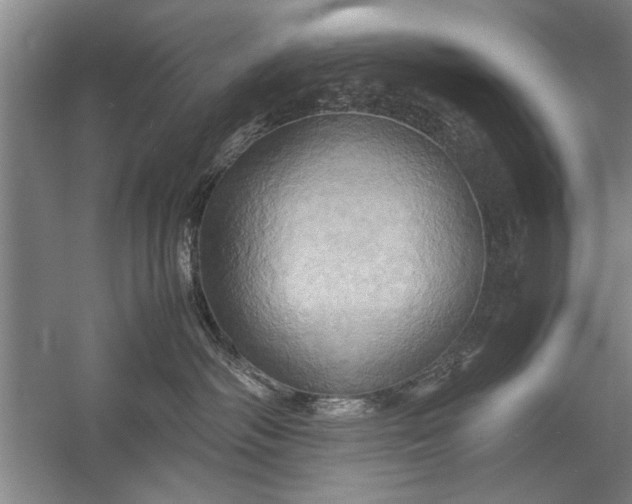 X0000057580334200509302144