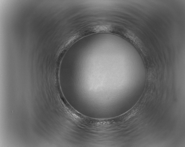 X0000057580353200509302144
