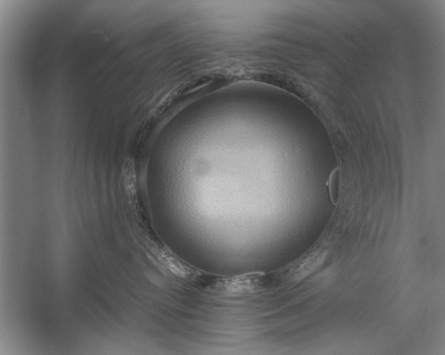 X0000057580384200509302144
