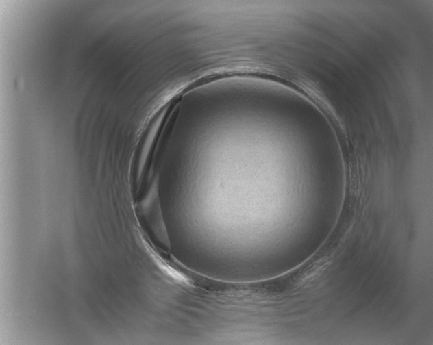 X0000057580389200509302143