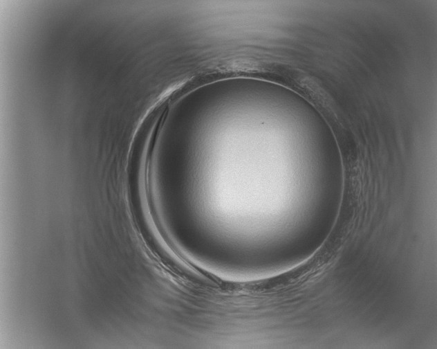 X0000057580395200509302143