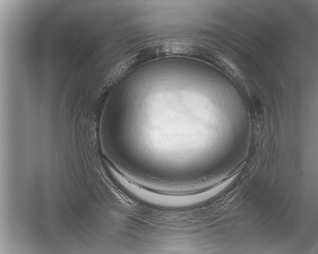 X0000057580401200509302143