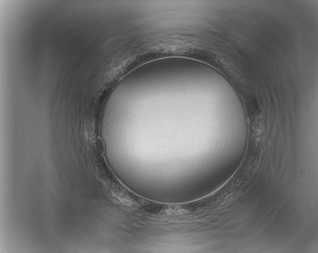 X0000057580403200509302143