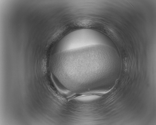 X0000057580404200509302143