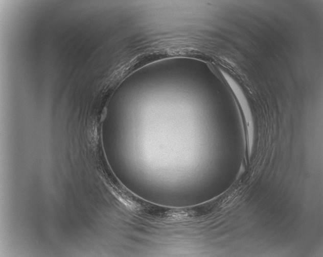 X0000057580405200509302143